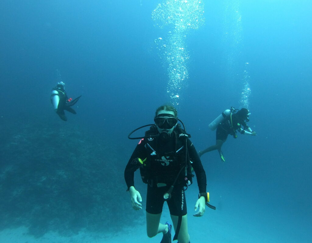 Dykning på Maldiverne