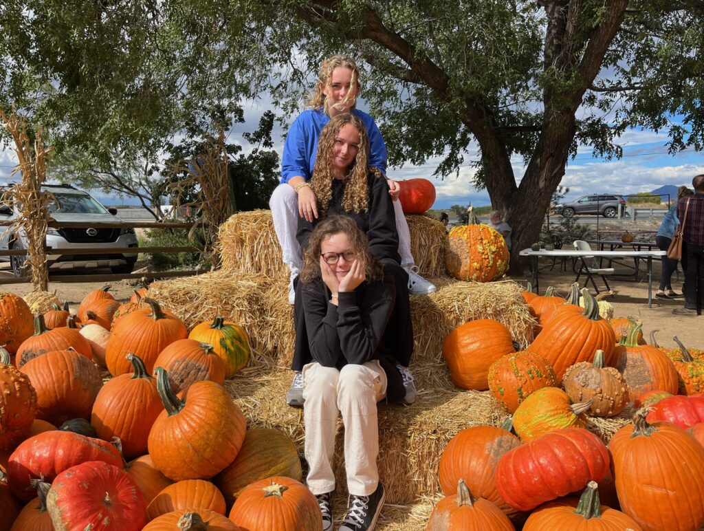 Punpkin patch ved Mortimer Farms