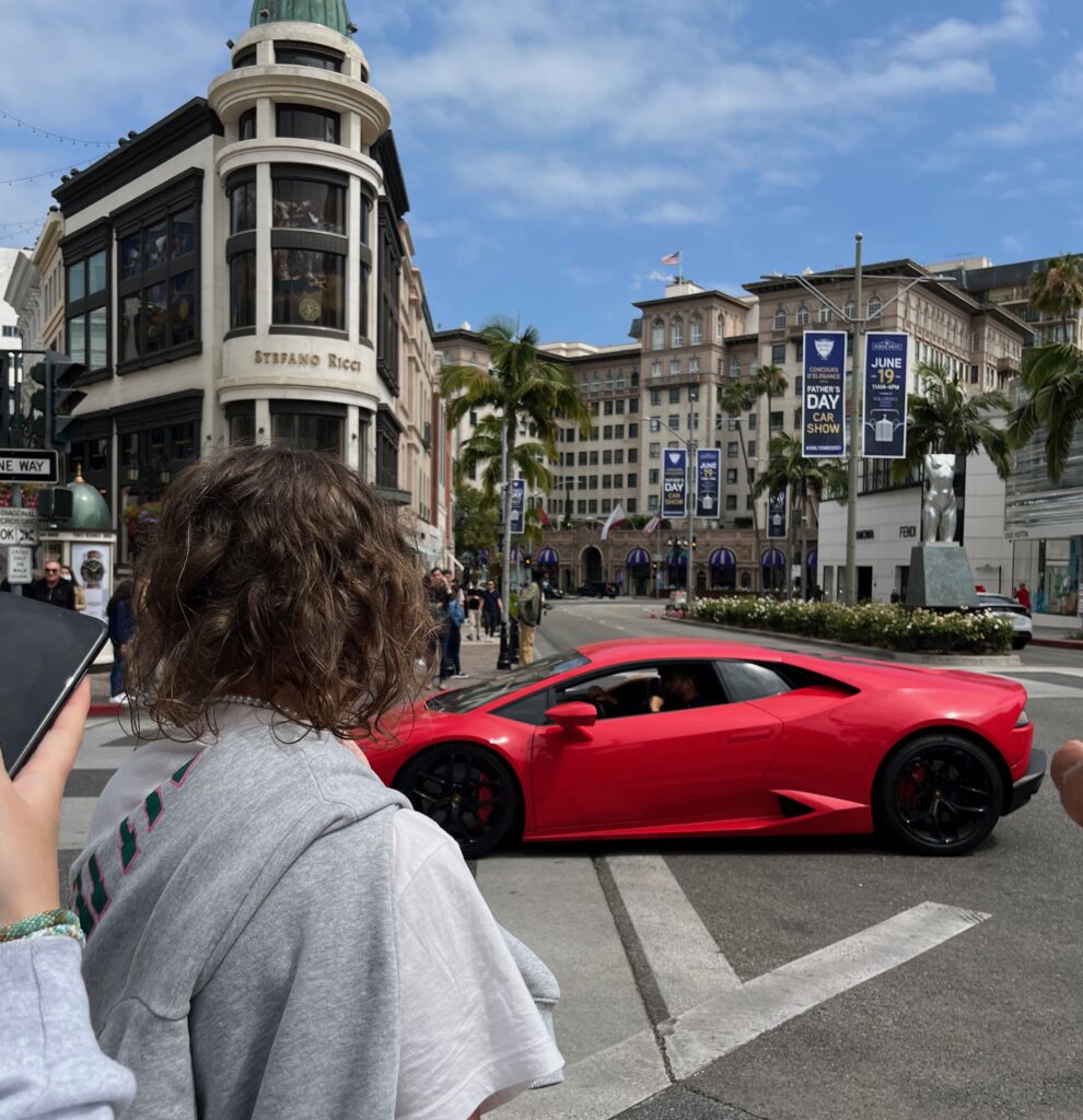 Rodeo Drive LA